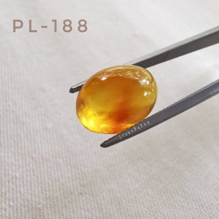 Oval Burmese Amber Cabochon - Natural and Radiant