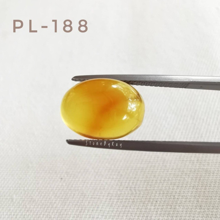 Oval Burmese Amber Cabochon - Natural and Radiant