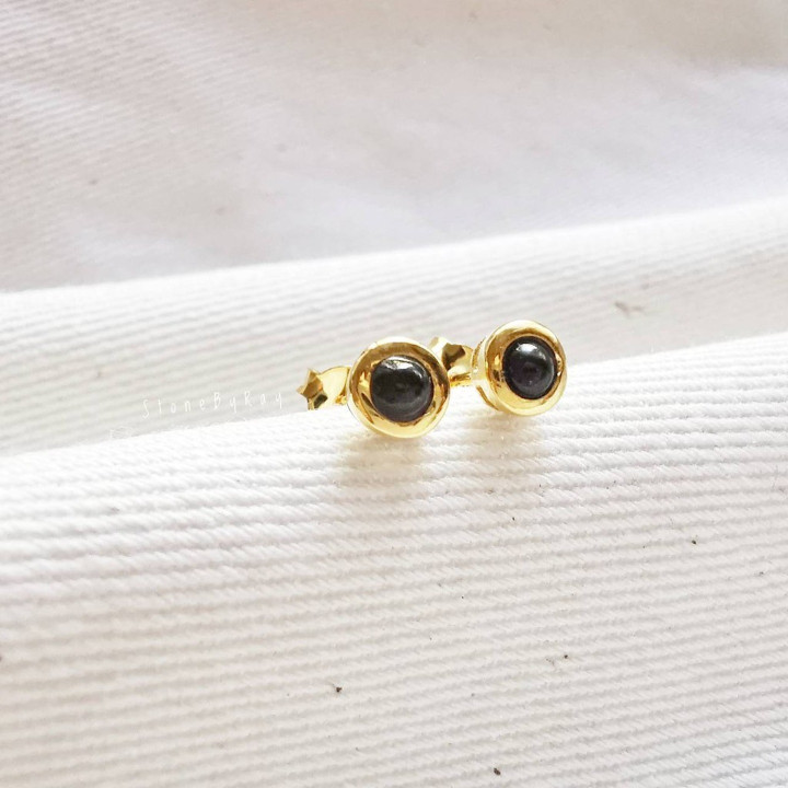 Gobi Meteorite Earrings | Sterling Silver (925)