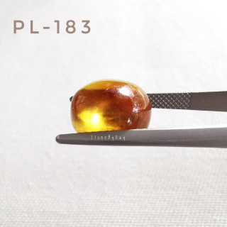 Burmese Amber Cabochon - Round and Radiant