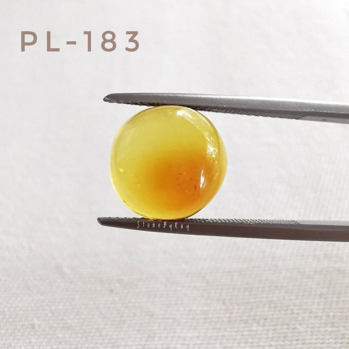 Burmese Amber Cabochon - Round and Radiant