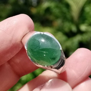 Genuine Burmese Jade Ring in 925 Sterling Silver