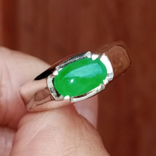 Genuine Burmese Jade Ring in Sterling Silver (Size 59)