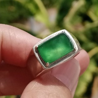 Authentic Burmese Jade Ring (Size 58) in Sterling Silver