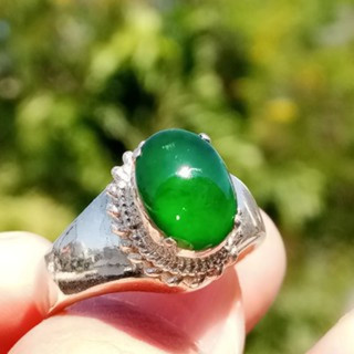 Authentic Burmese Jade Ring (Size 59) - Sterling Silver