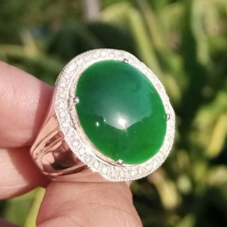 Genuine Burmese Jade Ring in Sterling Silver | Size 60