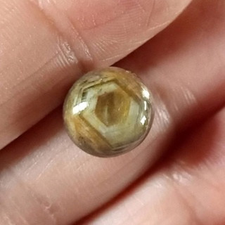 Unheated Burmese Golden Star Sapphire - 10.20ct
