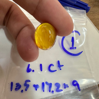 Rare Burmese Amber Fossil - Premium Raw Schon