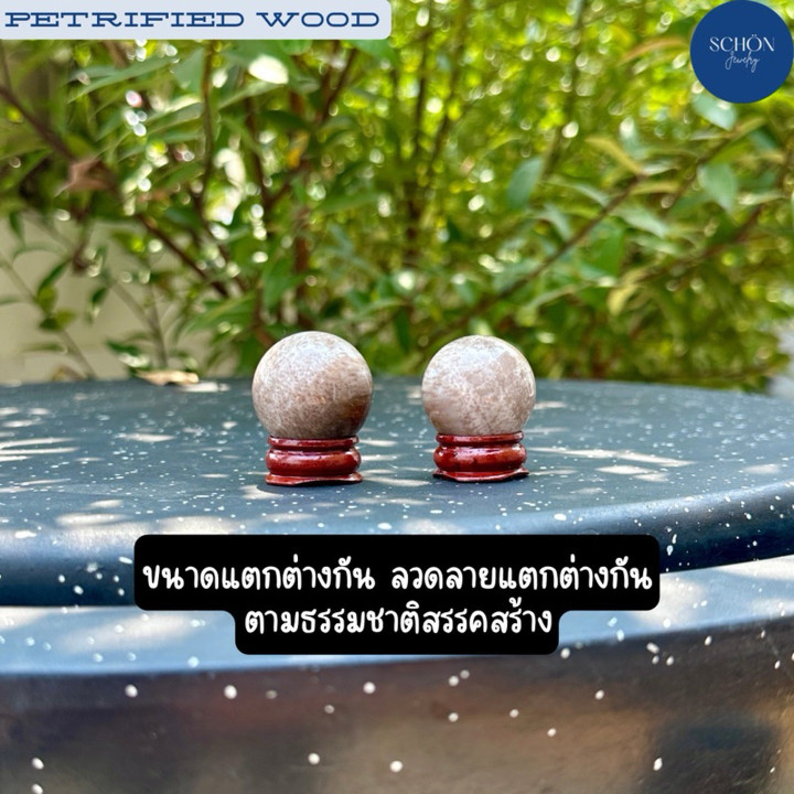 Feng Shui Crystal Balls | Petrified Teak Wood Set