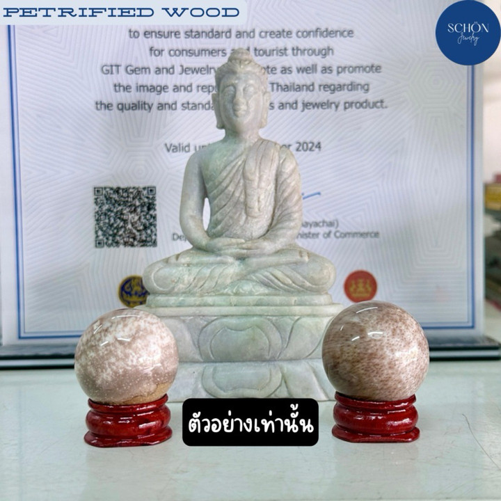 Feng Shui Crystal Balls | Petrified Teak Wood Set