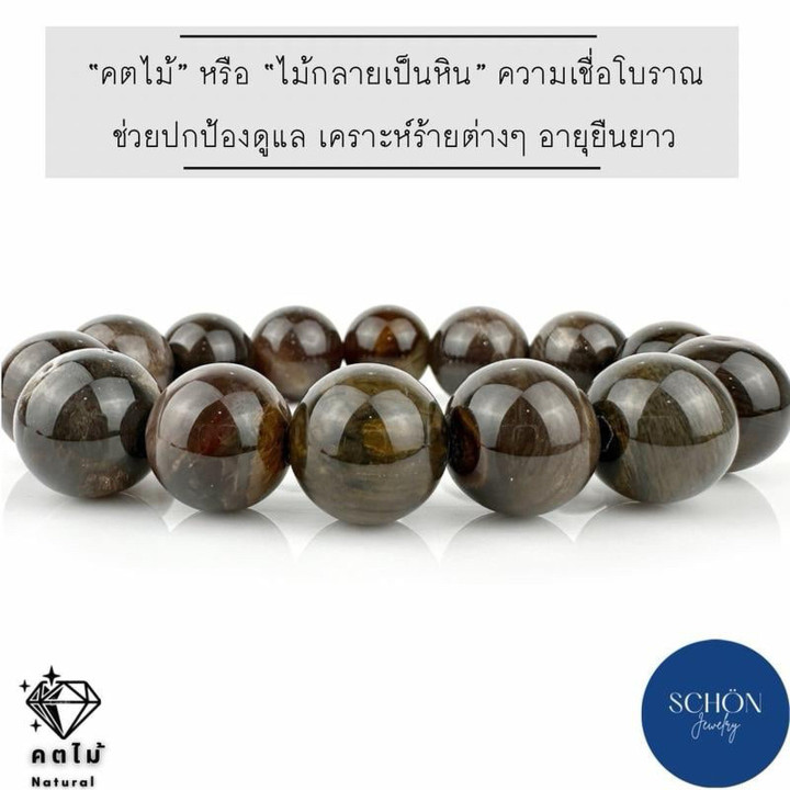 Pulsera mística de madera petrificada | Energía espiritual y poder ancestral