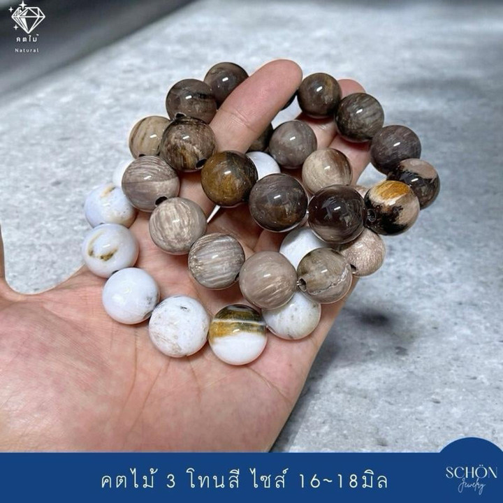 Pulsera mística de madera petrificada | Energía espiritual y poder ancestral