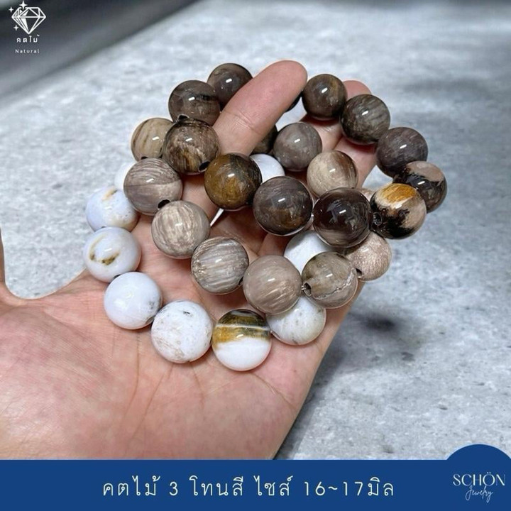 Pulsera mística de madera petrificada | Energía espiritual y poder ancestral