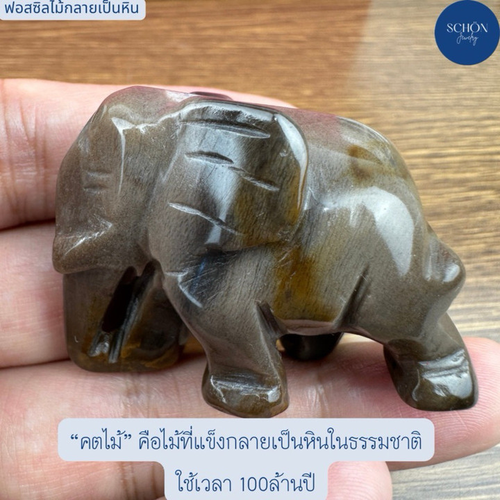 Petrified Wood Elephant Carving - Unique Fossil Art