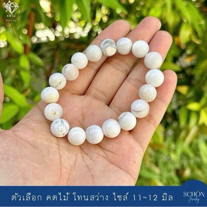 Pulsera mística de fósiles de madera petrificada: poderosa energía espiritual.