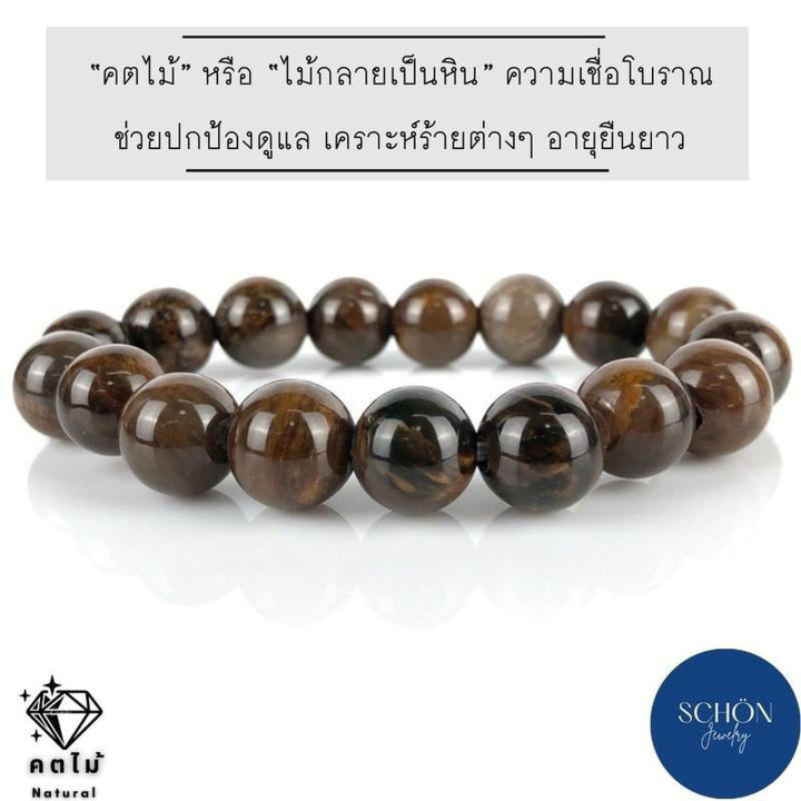 Pulsera mística de fósiles de madera petrificada: poderosa energía espiritual.