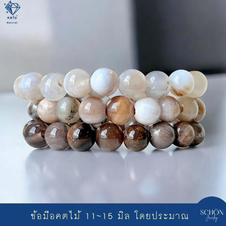 Pulsera mística de fósiles de madera petrificada: poderosa energía espiritual.