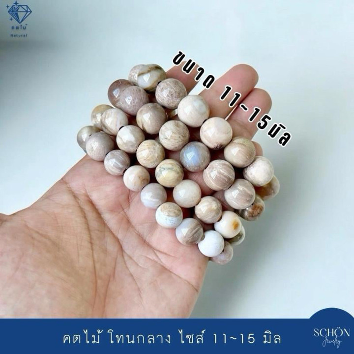 Pulsera mística de fósiles de madera petrificada: poderosa energía espiritual.
