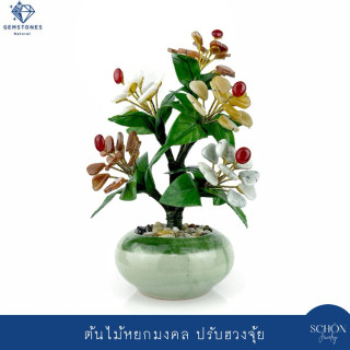 Handmade Lucky Jade Tree - Feng Shui Good Fortune Plant