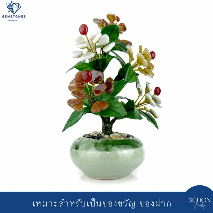 Handmade Lucky Jade Tree - Feng Shui Good Fortune Plant