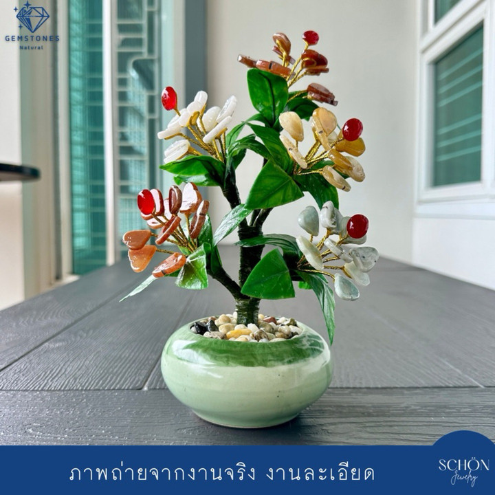 Handmade Lucky Jade Tree - Feng Shui Good Fortune Plant