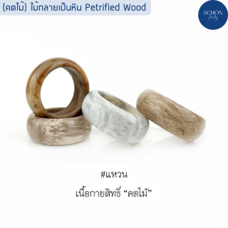 Petrified Wood Ring: Unique Barrel Shape, Natural Designs