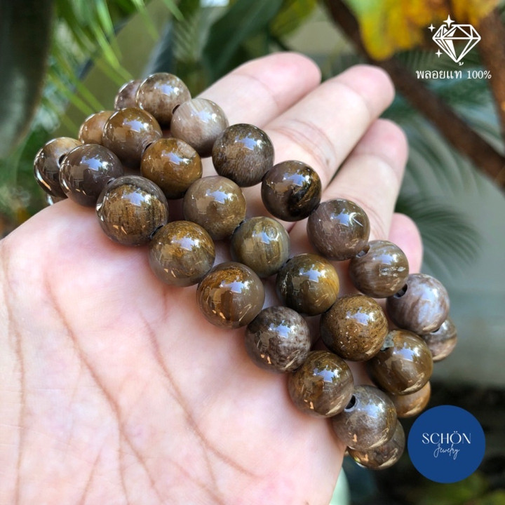 Pulsera de madera petrificada de un millón de años de antigüedad: auténtica y de buen augurio.