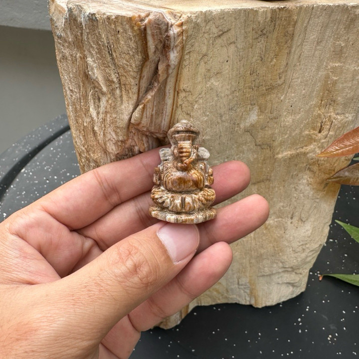 Ancient Petrified Wood Ganesha Statue - Sacred and Unique
