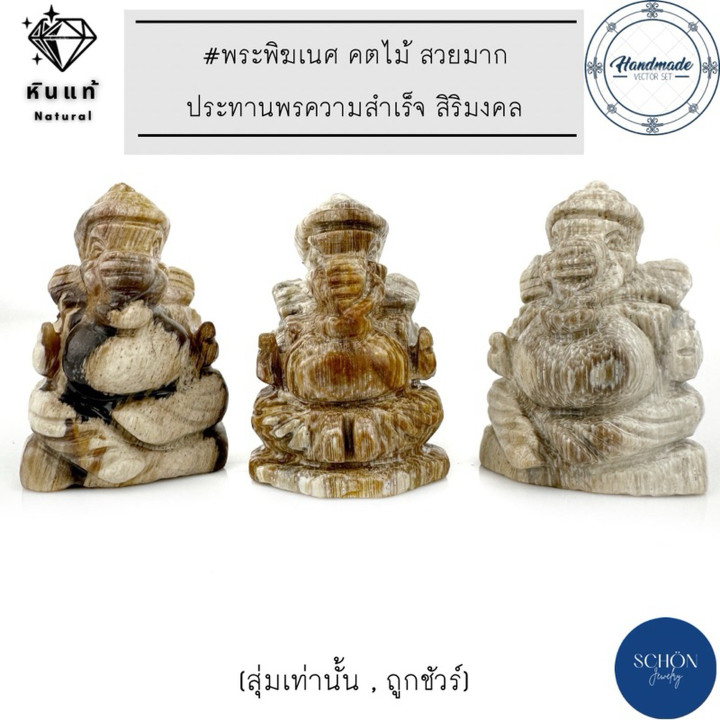 Ancient Petrified Wood Ganesha Statue - Sacred and Unique