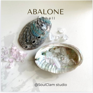Clear Quartz Abalone Shell - Home Decor and Energy Cleansing