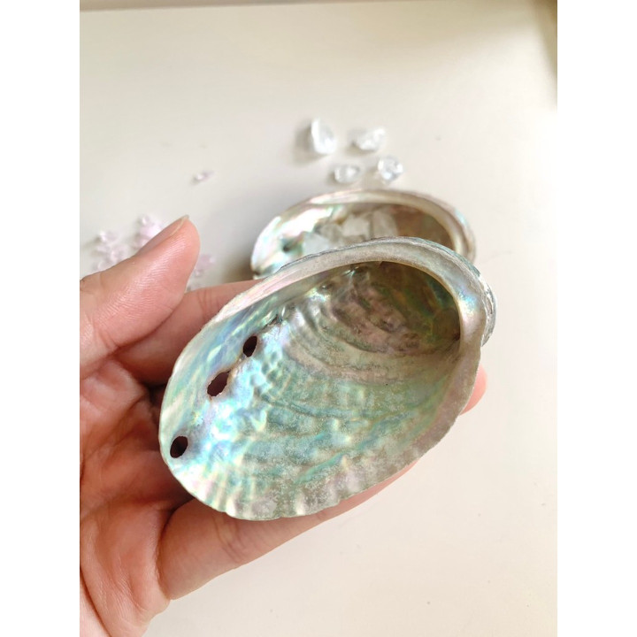 Clear Quartz Abalone Shell - Home Decor and Energy Cleansing