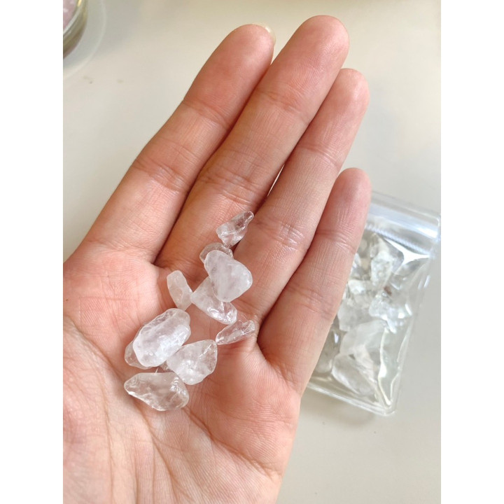 Clear Quartz Abalone Shell - Home Decor and Energy Cleansing