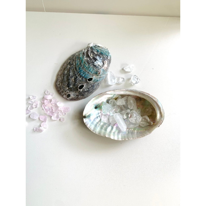 Clear Quartz Abalone Shell - Home Decor and Energy Cleansing