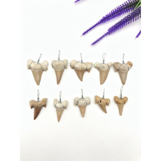 Natural Shark Tooth Pendant | Protection and Strength | Silver Chain Included