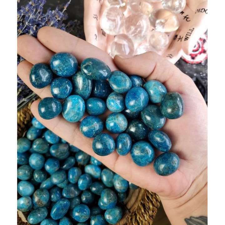 Natural Polished Apatite Stone - Throat Chakra Healing