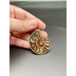Unique Ammonite Fossil Silver Pendant Necklace
