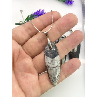 Unique Black Fossil Pendant Necklace - Natural and Rare