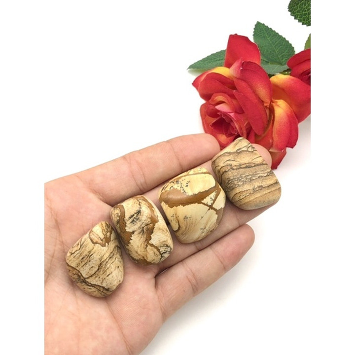 Petrified Wood Tumble Stone: Reiki Healing, Handmade Jewelry