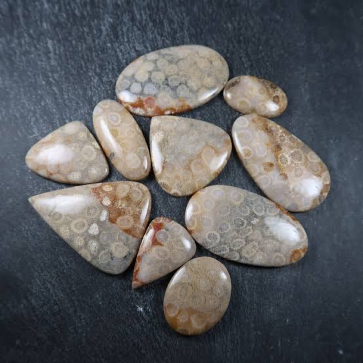 Natural Fossil Coral Cabochon | Handmade Jewelry Making