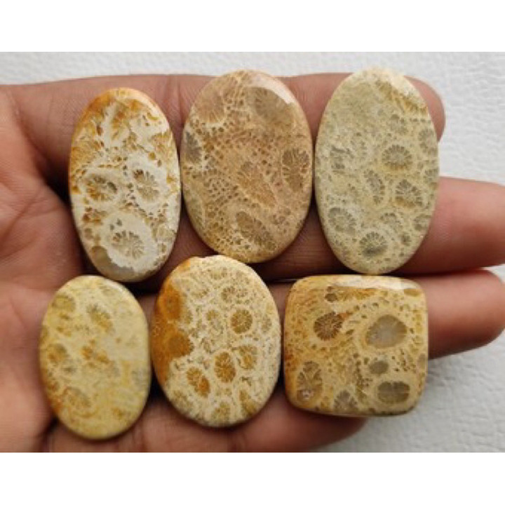 Natural Fossil Coral Cabochon | Handmade Jewelry Making