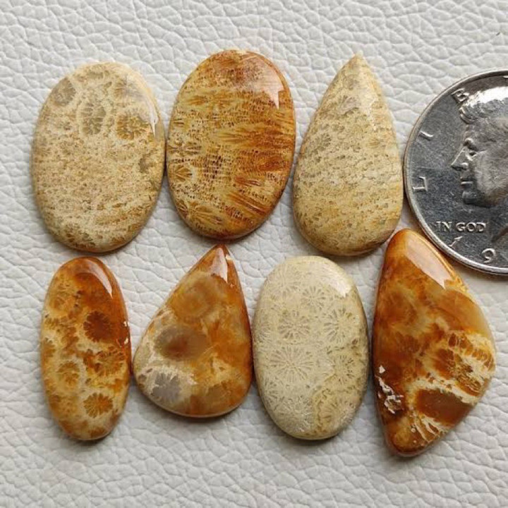 Natural Fossil Coral Cabochon | Handmade Jewelry Making
