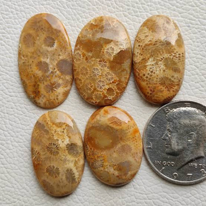 Natural Fossil Coral Cabochon | Handmade Jewelry Making