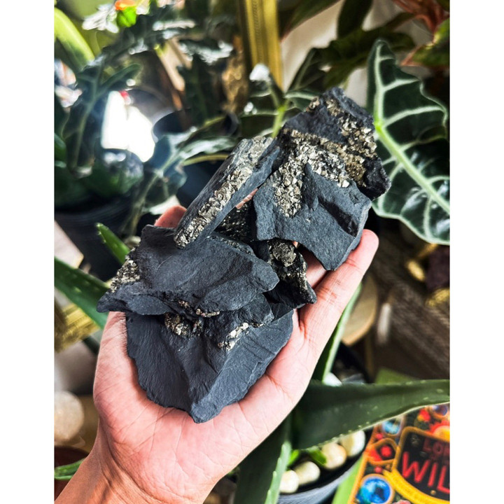 Protective Shungite and Pyrite Specimen - EMF Defense