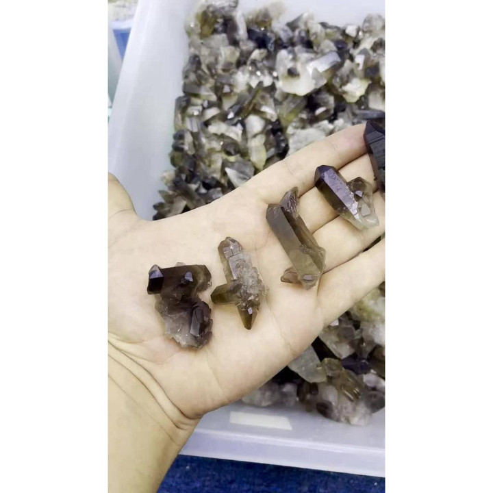 Premium Smoky Quartz Crystals | High Quality, Natural and Powerful