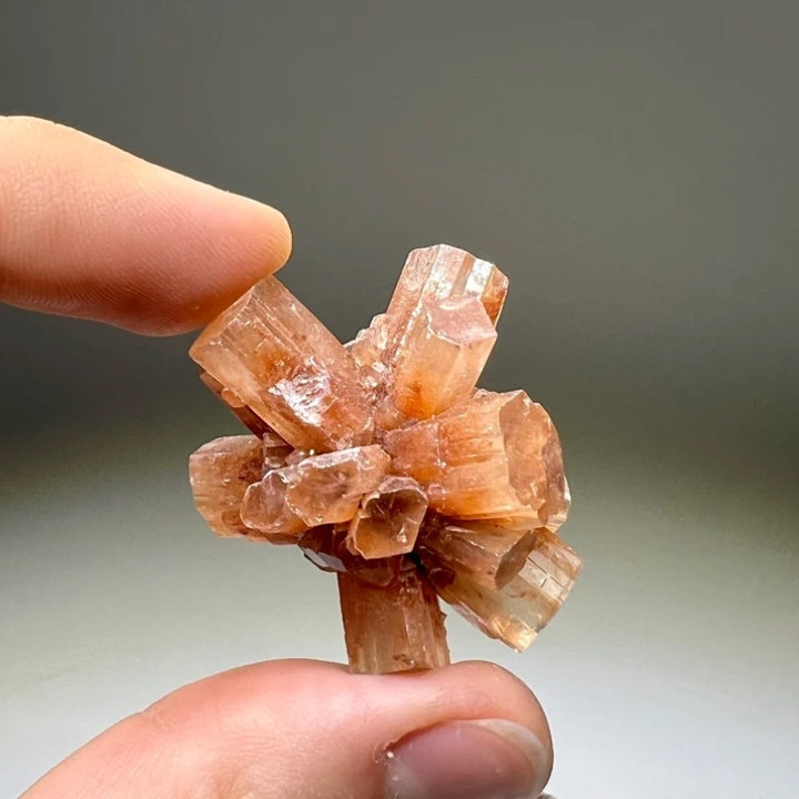 Aragonite Minerals for Strength and Support - Natural Crystals