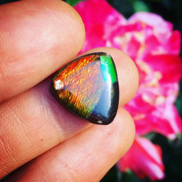 Rare Canadian Ammolite Opal Cabochon for Stunning Jewelry