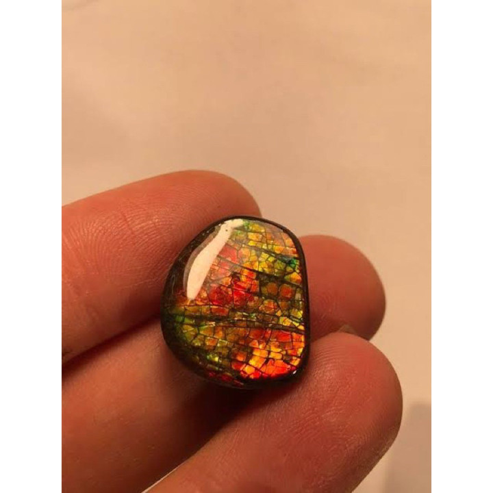 Rare Canadian Ammolite Opal Cabochon for Stunning Jewelry