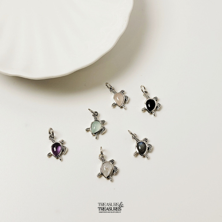 Collar de tortuga de plata de ley: Estabilidad, riqueza y buena fortuna.